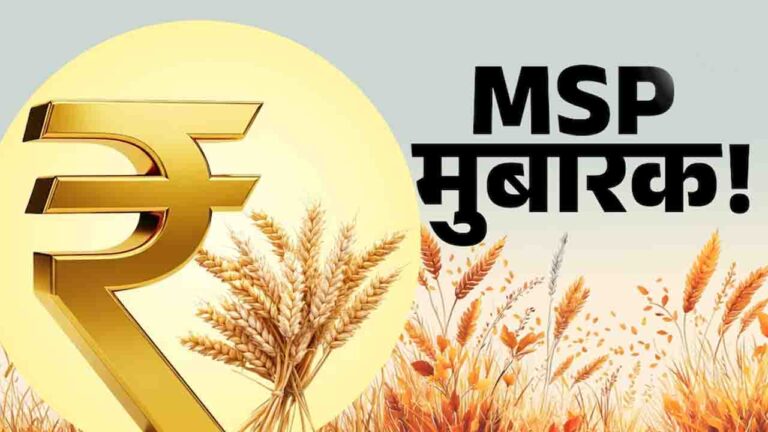HOME 5 Kharif Crops MSP: केंद्र सरकार का किसानों को बड़ा तोहफा, 14 फसलों के दाम में भारी इजाफा