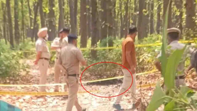 HOME 2 Sirmour News: पांवटा साहिब के जंगल में मिली महिला की अधजली लाश, हत्या के बाद साक्ष्य मिटाने की खौफनाक साजिश?