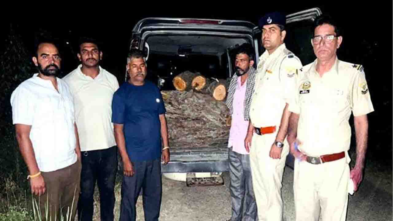 Una News Today: 2 arrested for smuggling khair wood - scorpions seized - Una, Himachal Pradesh