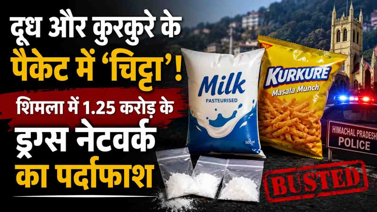 Shimla Drugs Network Bust: दूध और कुरकुरे के पैकेट में 'चिट्टा'! शिमला में 1.25 करोड़ के ड्रग्स नेटवर्क का पर्दाफाश,