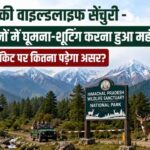 उप-मुख्यमंत्री ने सीआईआई और परवाणू उद्योग संघ के साथ की बैठक 1 हिमाचल की वाइल्डलाइफ सेंचुरी-राष्ट्रीय उद्यानों में घूमना-शूटिंग करना हुआ महंगा, जानें आपके पॉकेट पर कितना पड़ेगा असर?