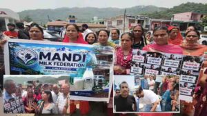 Mandi Milk Plant Protest: "गाय-भैंसें छुट्टी नहीं लेतीं..." चक्कर मिल्क प्लांट के गेट पर पशुपालकों ने बहाया सैकड़ों लीटर दूध