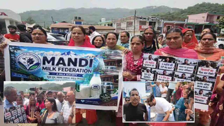 Mandi Milk Plant Protest: "गाय-भैंसें छुट्टी नहीं लेतीं..." चक्कर मिल्क प्लांट के गेट पर पशुपालकों ने बहाया सैकड़ों लीटर दूध