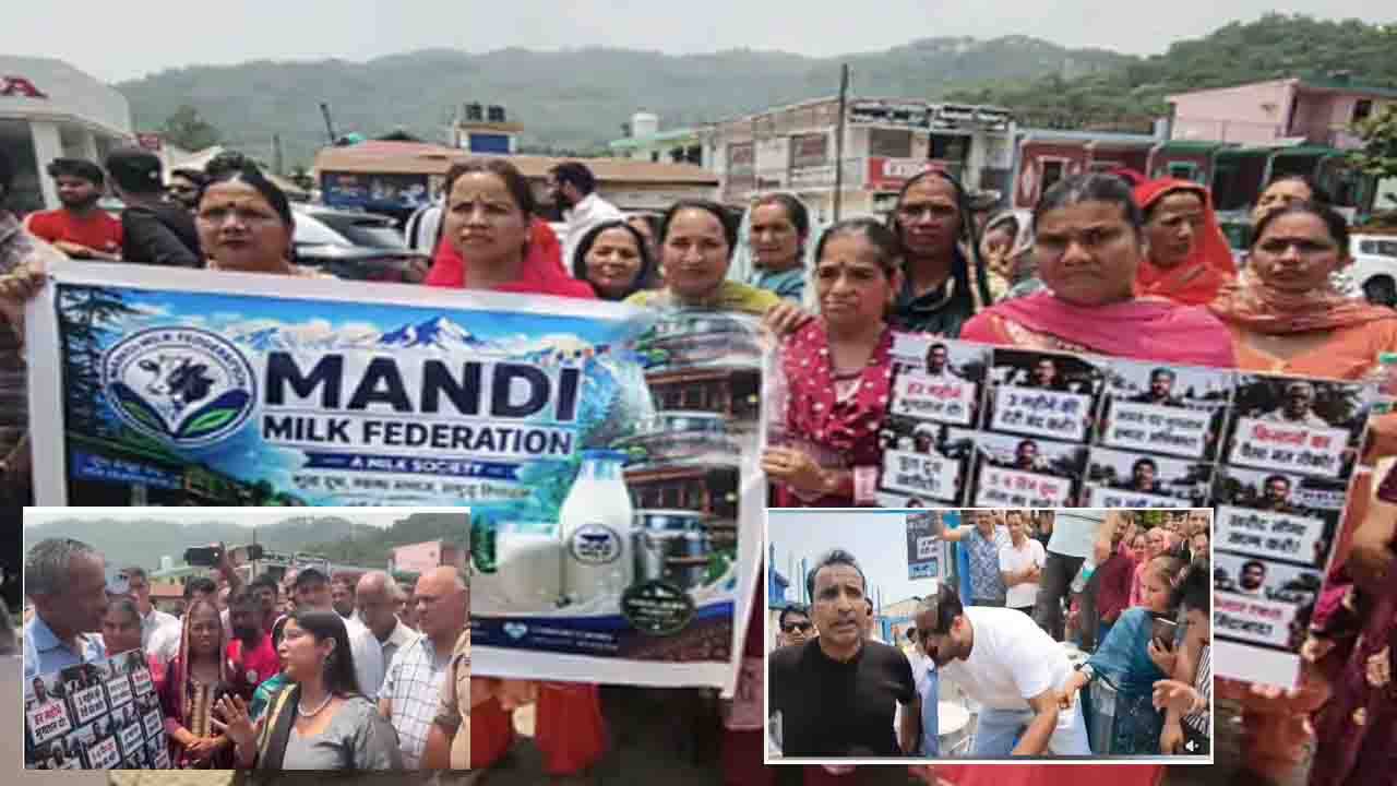 Mandi Milk Plant Protest: "गाय-भैंसें छुट्टी नहीं लेतीं..." चक्कर मिल्क प्लांट के गेट पर पशुपालकों ने बहाया सैकड़ों लीटर दूध