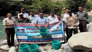 Kullu News: तीर्थन घाटी की नदियों में छोड़े गए करीब 20 हजार ट्राउट मछली के बीज