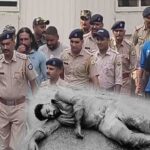 इंदिरा गांधी की मूर्ति पर टिप्पणी करने वाले पंजाबी ब्लॉगर की गिरफ्तारी पर बड़ा बवाल, निहंगों ने दी शिमला कूच की चेतावनी.! 1 गैंगस्टर सन्नी गिल पर कुल्हाड़ी से जानलेवा हमला करने वाले पांचों आरोपियों को अदालत ने चार दिन की पुलिस रिमांड पर भेजा