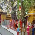 ऊना से सुरीली आवाज के मालिक उमंग शर्मा का नया भजन "तेरे भावना दा नज़ारा" रिलीज़ 1 23 नहीं सिस्टम में दिखे 88 पास… चिंतपूर्णी मंदिर ‘सुगम दर्शन’ में सॉफ्टवेयर में सेंध? एडीसी करेंगे जांच