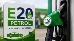 E20 Fuel Issue: "सिर्फ एथेनॉल वाला तेल ही क्यों बेचे?" शुद्ध पेट्रोल मांगने वालों को सरकार ने दिया दो टूक जवाब