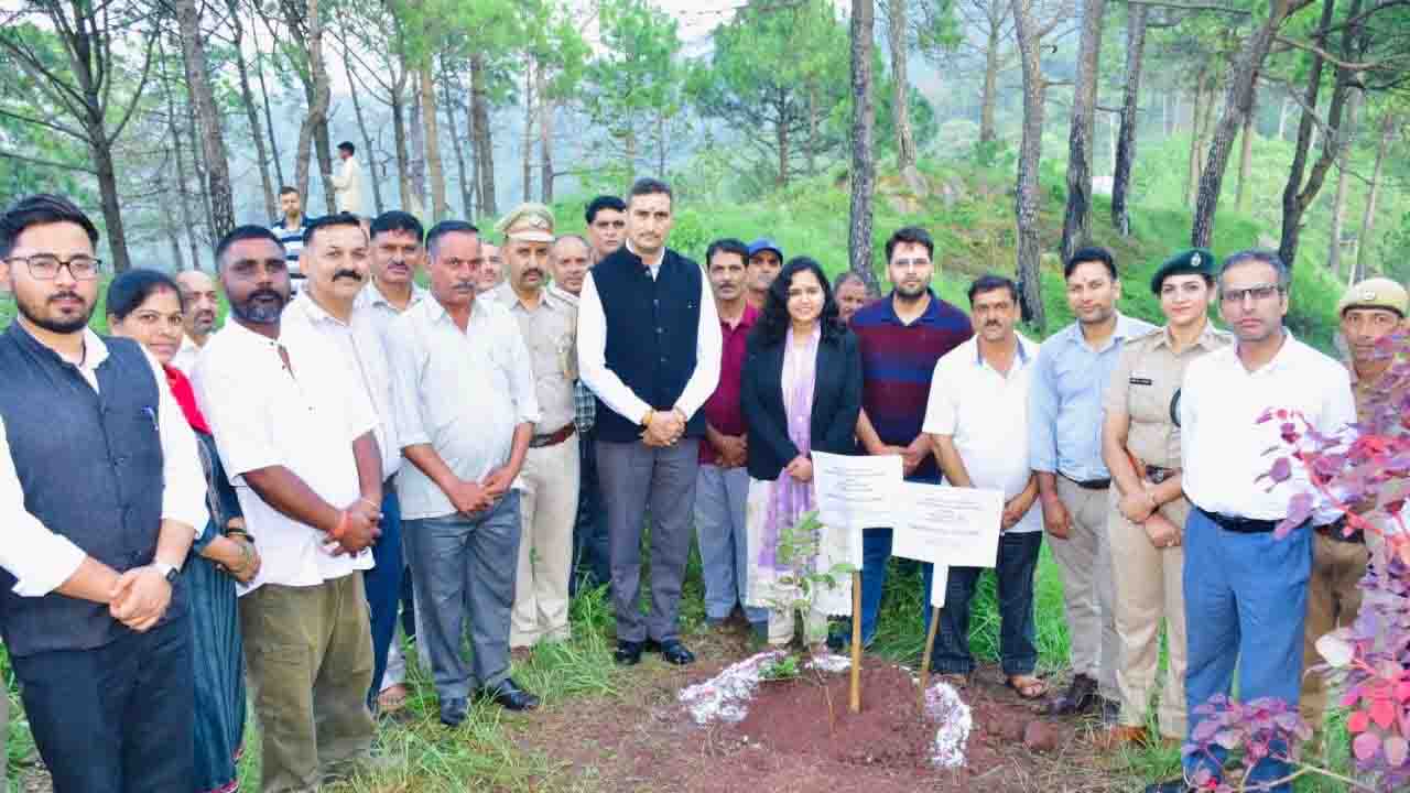 Kasauli Plantation Drive: वृक्षारोपण कर पर्यावरण संरक्षण का दिया संदेश, प्लास्टिक प्रदूषण के खिलाफ लिया संकल्प