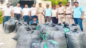 Solan News: नालागढ़ में गाड़ी की तलाशी लेते ही उड़े पुलिस के होश, बोरों में भरकर ले जाया जा रहा था 4 क्विंटल अफीम डोडा