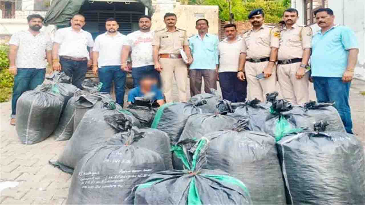 Solan News: नालागढ़ में गाड़ी की तलाशी लेते ही उड़े पुलिस के होश, बोरों में भरकर ले जाया जा रहा था 4 क्विंटल अफीम डोडा
