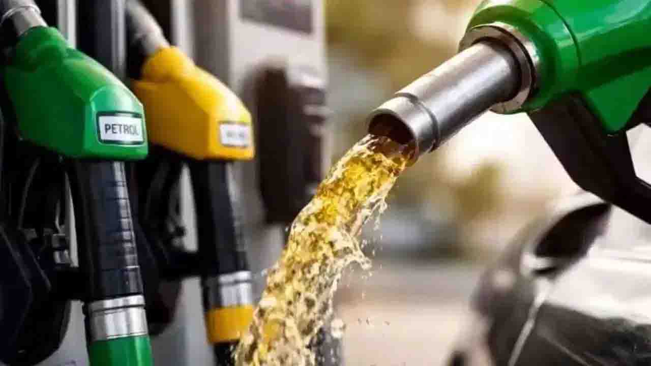 E20 Petrol Quality: E20 पेट्रोल से ख़राब हो रहीं गाड़ियाँ? शुद्धता के विवाद पर सरकार ने जारी की सफाई, बताया क्या है सच्चाई!