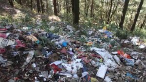 Kasol Garbage Issue: कसोल के इको सेंसटिव फॉरेस्ट में मनाली का कचरा डंप करने की बात हिमाचल के अफसरों ने NGT में मानी