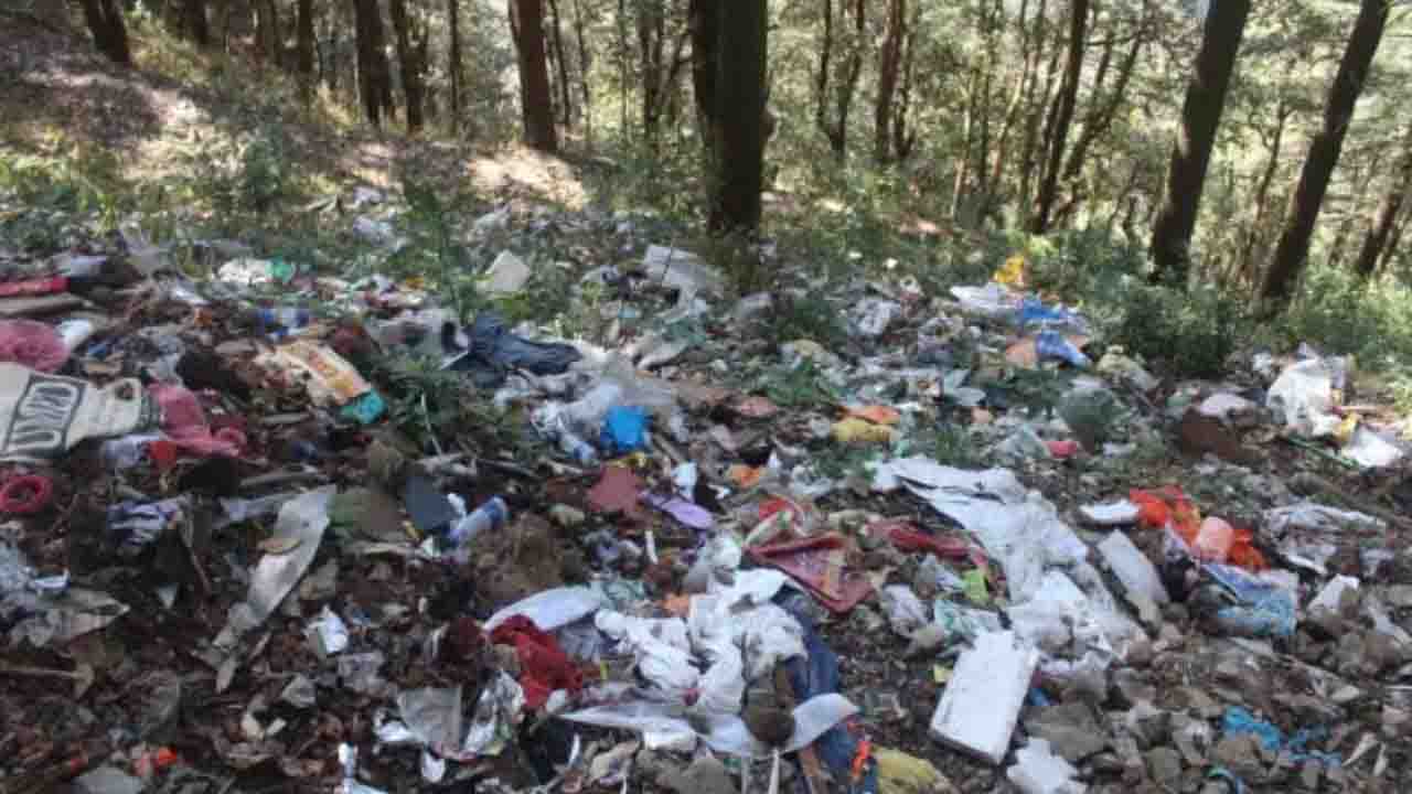 Kasol Garbage Issue: कसोल के इको सेंसटिव फॉरेस्ट में मनाली का कचरा डंप करने की बात हिमाचल के अफसरों ने NGT में मानी