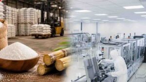 Sugar Price Hike India: चीनी के दामों में रिकॉर्ड उछाल से प्रभावित हुआ BBN का दवा उद्योग, दवाइयों और आयुर्वेदिक उत्पादों पर मंडराया महंगाई का खतरा