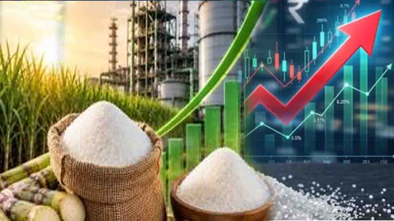 Sugar Price Hike in India: त्योहारी सीजन से पहले मिठास पड़ी फीकी, चीनी के दाम ने तोड़ा रिकॉर्ड, ₹5,500 प्रति क्विंटल पहुंची कीमत..!