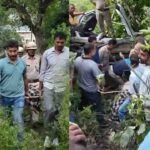 Jibhi Missing Parrot Sky: बाहू-जिभी से लापता हुआ अफ्रीकी ग्रे तोता ‘स्काई’, परिवार कर रहा तलाश, स्थानीय लोगों से मांगी मदद 1 Kullu Road Accident: हिमाचल में 200 मीटर गहरी खाई में गिरी कार, एक ही गांव के चार युवकों की मौके पर मौत.!