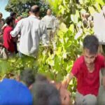 Bilaspur News: 6 महीने में दूर होगी बिजली की समस्या! 13 करोड़ के बम्म-हटवाड़ विद्युत सब-स्टेशन का मंत्री धर्माणी ने किया निरीक्षण 1 Bilaspur News Today: बिलासपुर कोर्ट से पुलिस को चकमा देकर भागा चिट्टा तस्कर, नाली में छुपा, ऐसे पकड़ा गया