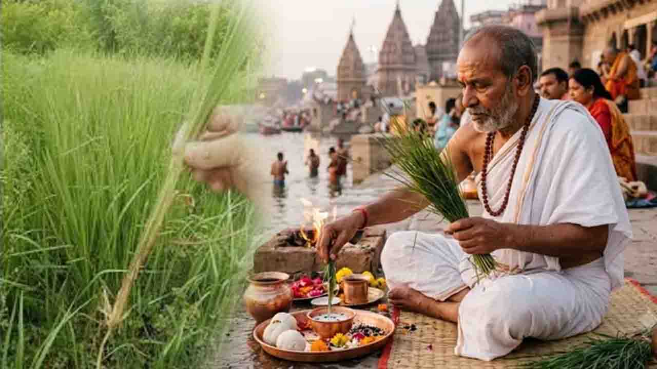 Kushagrahani Amavasya 2026: जानिए कब है कुशाग्रहणी अमावस्या और क्या हैं कुशा एकत्रित करने के नियम