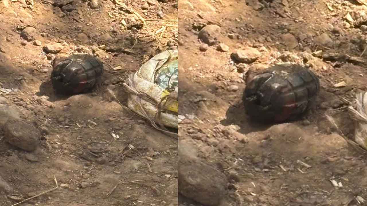 HOME 14 Nalagarh Grenade News: नालागढ़ में दो पक्षों के झगड़े के बीच संदिग्ध ग्रेनेड बरामद, बम डिस्पोजल टीम बुलाई