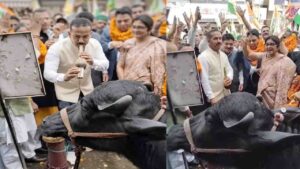 Solan Congress Protest: “सोलन में भैंस के आगे बीन… कांग्रेस का अनोखा प्रदर्शन कर मांगा मुख्य चुनाव आयुक्त का इस्तीफा..!