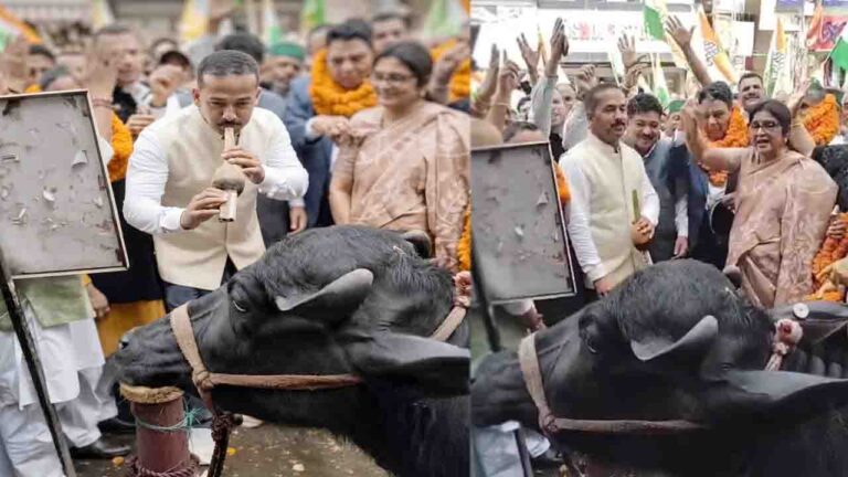 Solan Congress Protest: “सोलन में भैंस के आगे बीन… कांग्रेस का अनोखा प्रदर्शन कर मांगा मुख्य चुनाव आयुक्त का इस्तीफा..!