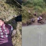 Bilaspur News: पुल पर मोबाइल रख महिला ने नदी में लगाई छलांग,  युवाओं की जांबाजी के बाद भी नहीं बचाई जा सकी जान