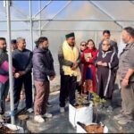 टेलीमेडिसिन जनजातीय क्षेत्र काजा के लिए बन रहा संजीवनी 1 Blueberry Farming: लाहौल घाटी में ब्लूबेरी की खेती शुरू, मंत्री जगत सिंह नेगी ने शुगू का किया दौरा