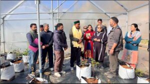 Blueberry Farming in Himachal Pradesh: लाहौल घाटी में ब्लूबेरी की खेती शुरू, मंत्री जगत सिंह नेगी ने शुगू का किया दौरा