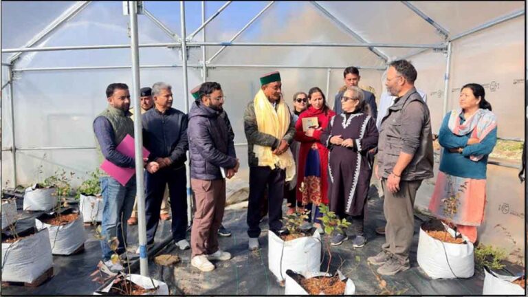 HOME 1 Blueberry Farming in Himachal Pradesh: लाहौल घाटी में ब्लूबेरी की खेती शुरू, मंत्री जगत सिंह नेगी ने शुगू का किया दौरा